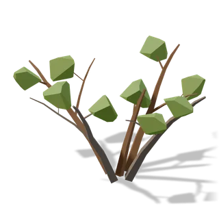 bush 02