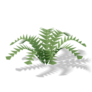 fern 01, in the free edition