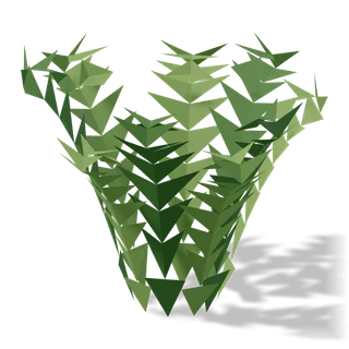 fern 02