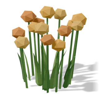 flowers 03