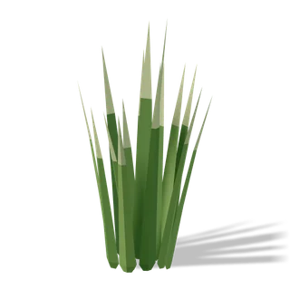 grass 02