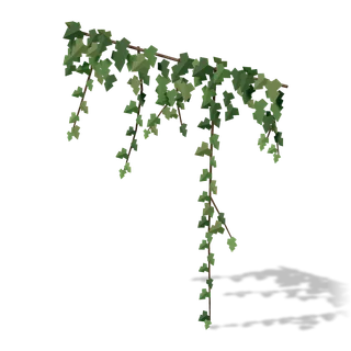 ivy 01, in the free edition