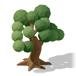 oak 02