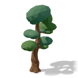 pine 02